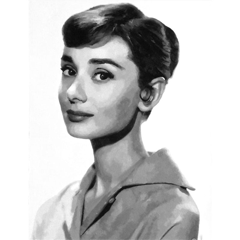 Audrey Hepburn Paint by Numbers kit