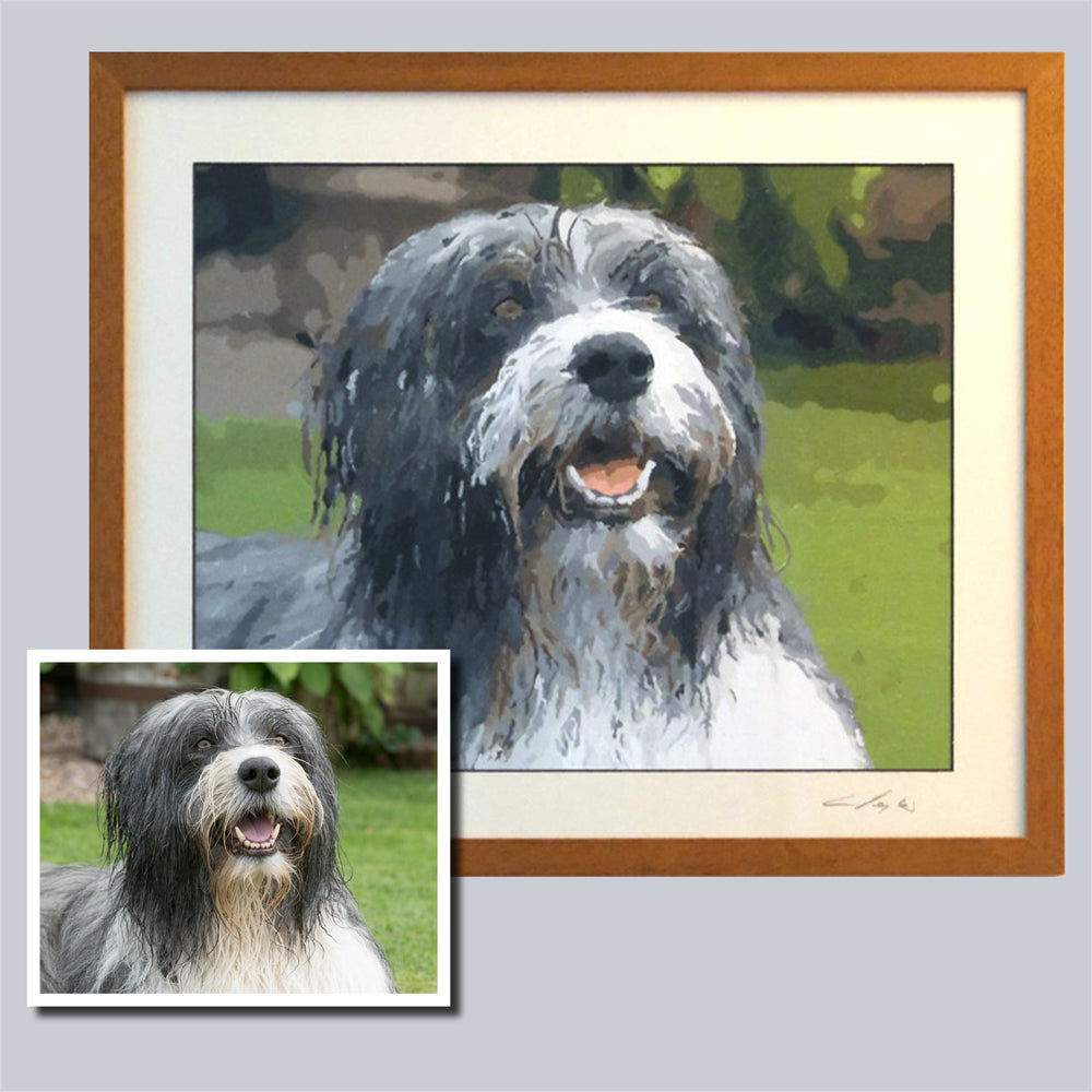 bearded collie paint by numbers